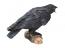 Soška Havran Raven's Call  