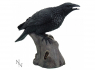 Soška Havran Ravens Cry 35cm  
