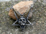 Přívěsek chirurgická ocel Baphomet Horned Skull Pentagram BRONZE  