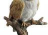 Figurka Sova Barn Owl perching on branch  