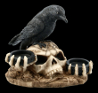 Svícen s havranem The raven's dark light  