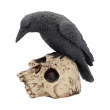 Soška Havran Ravens Remains Soška Havran Ravens Remains