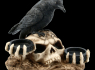 Svícen s havranem The raven's dark light  