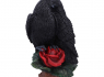 Soška Havran Raven Romance  